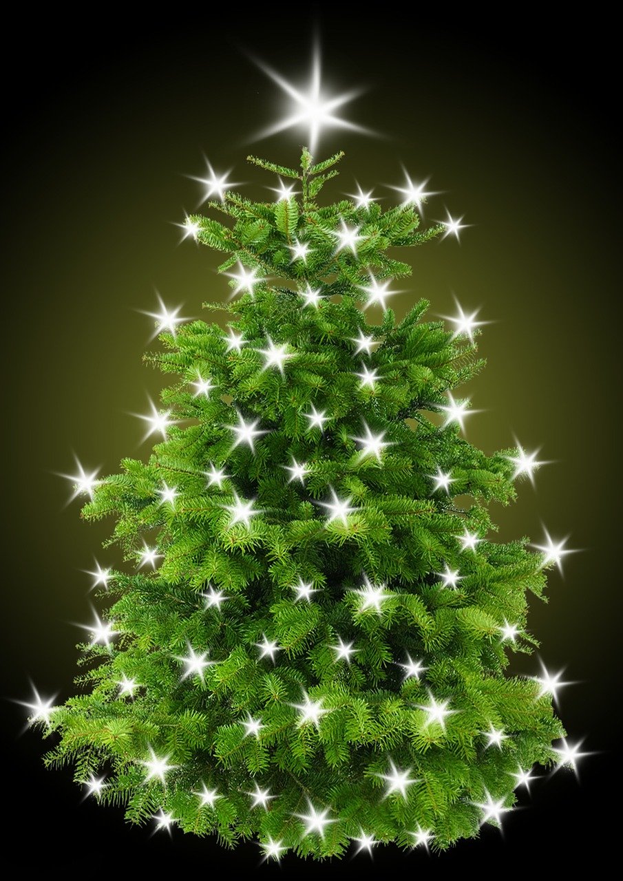 christmas tree 1768935 1280